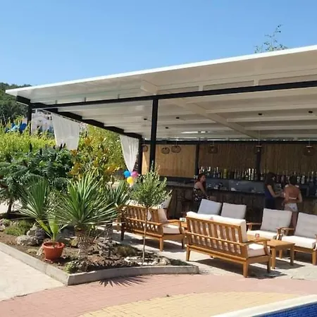 пясъчна лилия в Lily Beach Apartment *